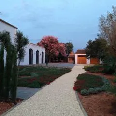 Huerto del Medico