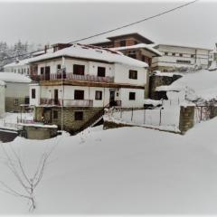 Hotel Acropolis Metsovo