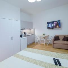 Modern apartment Pricna 4