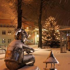 Spree Chalet - adults only