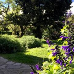 Habitación en casa con gran jardín