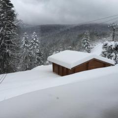 chalet "le Refuge du Brabant"