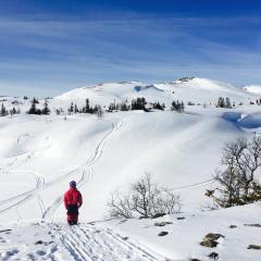 Vålågårdens Värdshus och Camping AB
