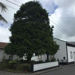 THE CEDAR TREE HOUSE Studio 48