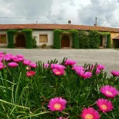 Agriturismo Monte Alzato