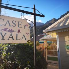 Case Nyala
