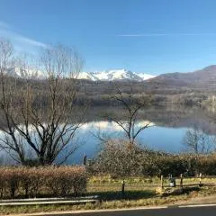 Il Gatto e La Volpe