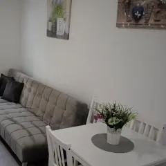 Camino Suarez 2