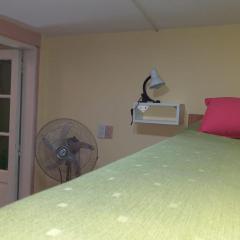 MT Verde Barrio Jardín