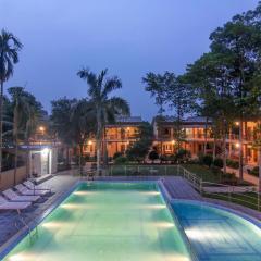 Jungle Safari Lodge- Serenity in the Wild