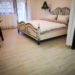 Stay in TimisoarAcom