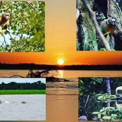 Lodge Jungle Wolf Expeditions