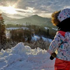 KOZA U WOZA WYPOCZNIJ W GÓRACH W RYTMIE slowTRAVEL drewniany dom premium z widokiem na panoramę Tatr ecoSPA strefa fitness ZIELONA FARMA healinggarden