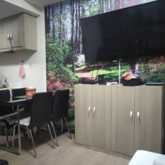 I unit studio fully furnished