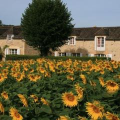 Domaine des Hirondelles