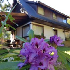 Cabaña Modern Family