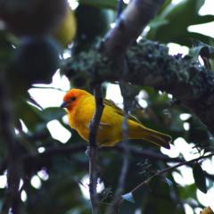 Casa rural El Encanto Guaduas