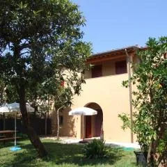 Agriturismo La Gatta e l'Olivo - Casa Daria