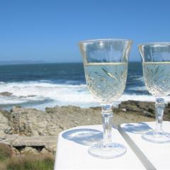 Beachfront Cottage - Hermanus Whale View