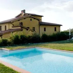 Il Bellini