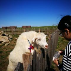 Hulunbeir Grassland and Farm Youth Hostel