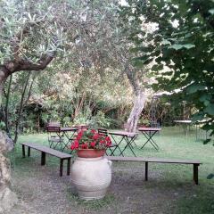 Gli Ulivi Bed & breakfast