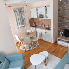 Apartman Ledjanac