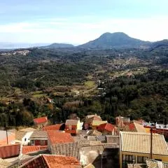 Nikolas view house