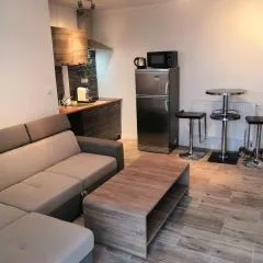Vehlovice Apartments