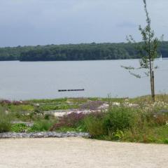 Lac de l'Eau d'Heure appartement C23 Commodore Les Joséphines