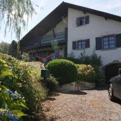 Lullaby House - Large, full comfort 5 star chalet house in the Vosges