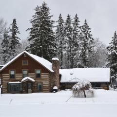 Log Cabin on the Wolf River with Private Hot Tub!