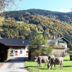 Hof im Feld