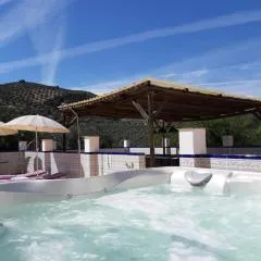 Casa Pino Solo