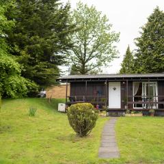 Catkin Lodge set in a Beautiful Woodland Holiday Park