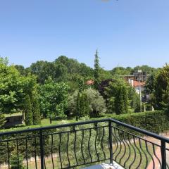 Dimeli 1