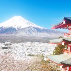 Erable Mt.Fuji "Zen"