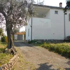 Casa LOLU