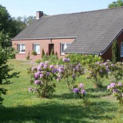 Ferienwohnung Mientje, 35214