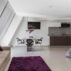 Increible Loft en PH Zona Polanco B