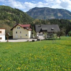 Ferienwohnung Leitner