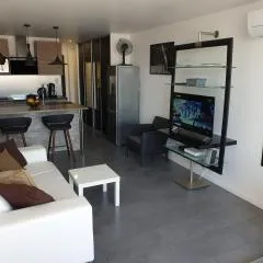 2Cap d'Agde NATURISTE Grand T2 de standing avec GARAGE privé