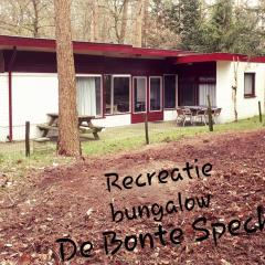 Bonte Specht