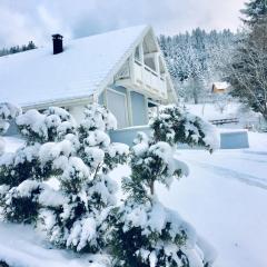 Chalet Le Flocon Bleu - Mauselaine avec vue sur le Lac de Gérardmer