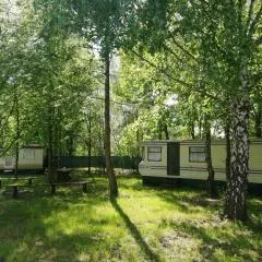 Domki nad Jeziorem Tarnobrzeskim