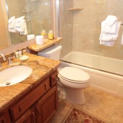 Mountainback #17, Den