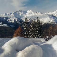 les 3 marmottes - Les Arolles