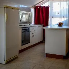 Galeb 3