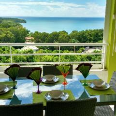 Appartement moderne à Sainte-Anne 43 m² avec vue mer