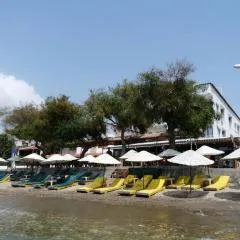 Villa Hotel